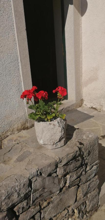 Hostel Skrla Divača Εξωτερικό φωτογραφία